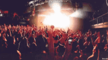 Concert GIFs | Tenor