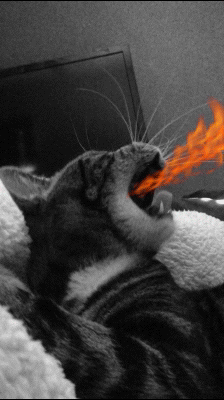 52e5ab705163a73cd8c0ba425b6e0ff4.gif