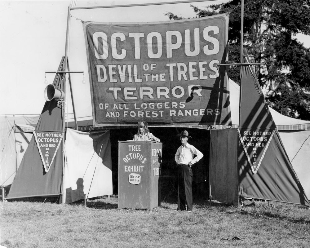 bones_hartzell-tree_octopus_exhibit.jpg