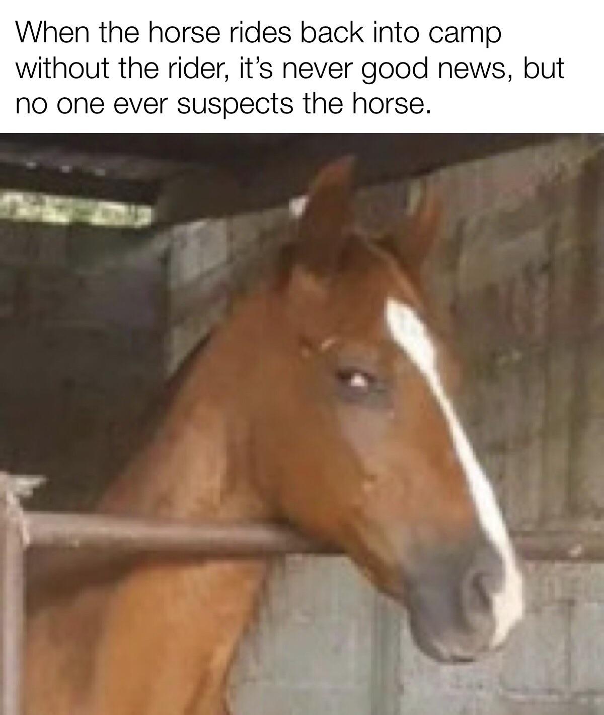 udqtehp9zzw61.jpg