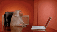 200w.gif