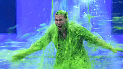 giphy.gif