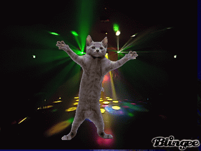 giphy.gif