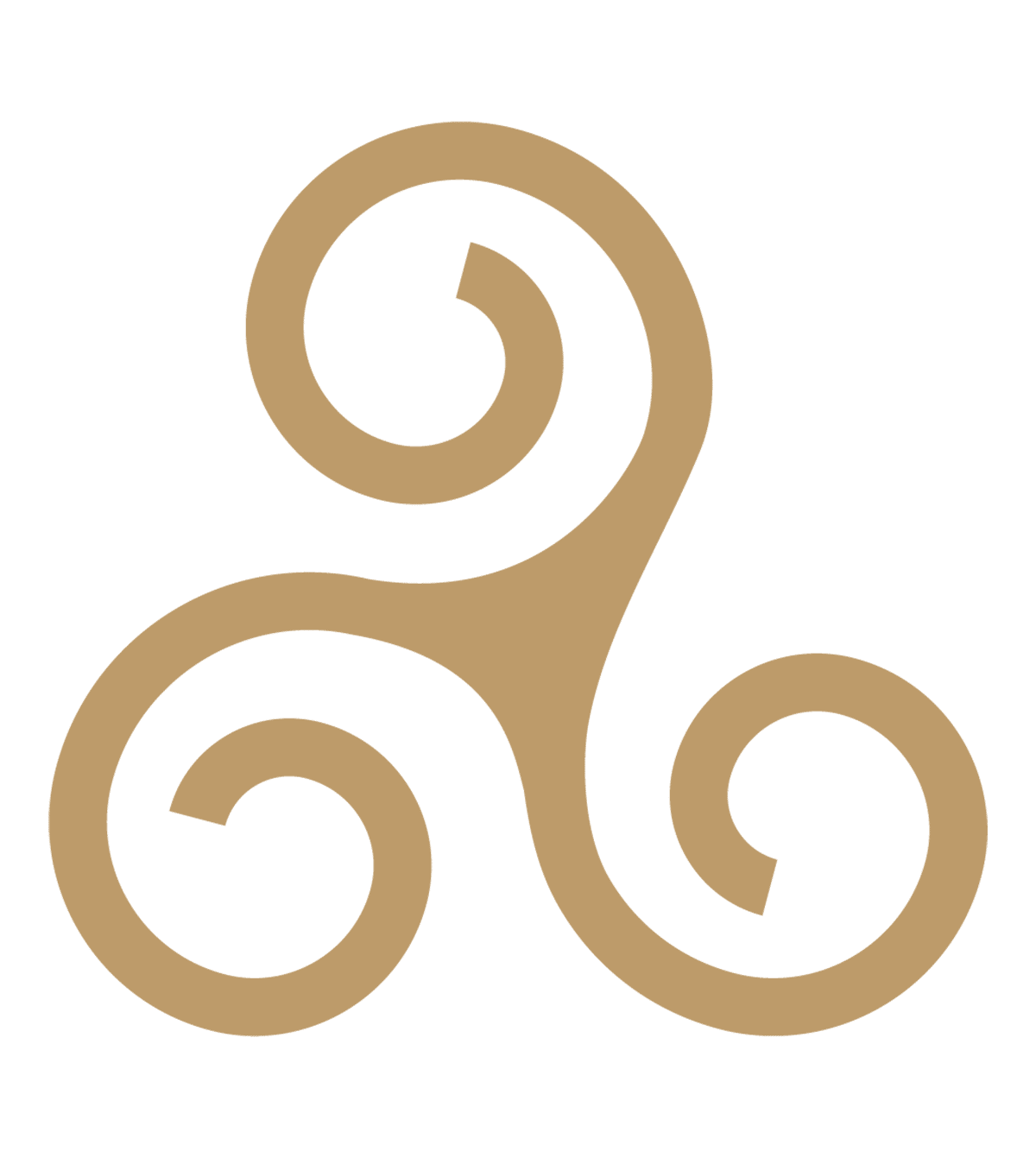 www.trinitycommons.com