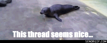 eyWRTfL.gif