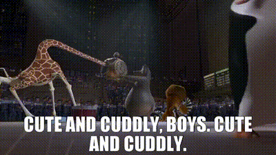 YARN | Cute and cuddly, boys. Cute and cuddly. | Madagascar (2005) | Video  gifs by quotes | 17bbb53d | 紗