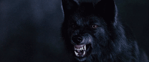 7vf.gif