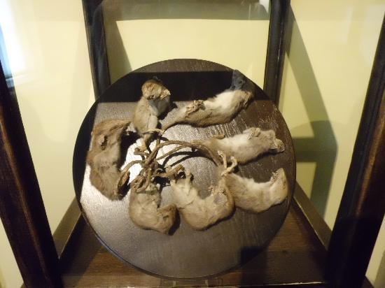 rat-king.jpg