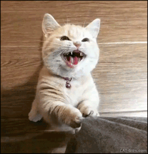 7MNW6Re.gif