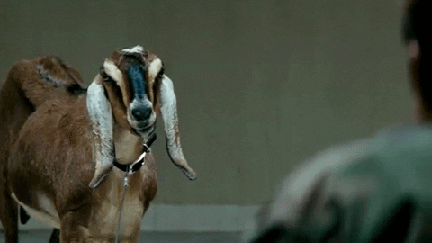 source.gif