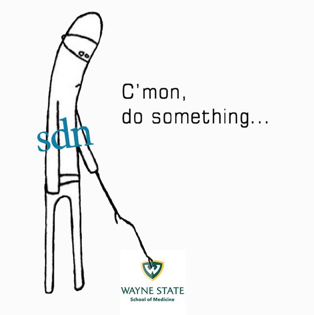 zFl65wSl.jpg