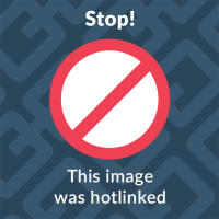 gomerblog.com