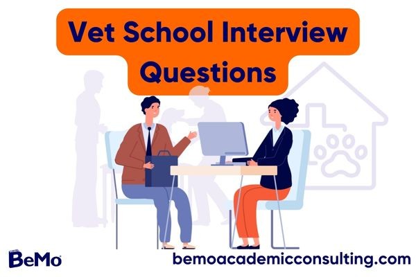 bemoacademicconsulting.com