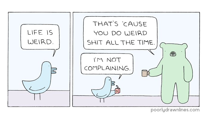 weird.png