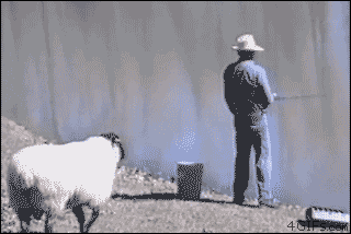 ppVdI.gif