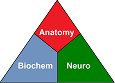 USMLE-Triple-Review-small.png