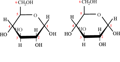 disaccharideformation2.gif