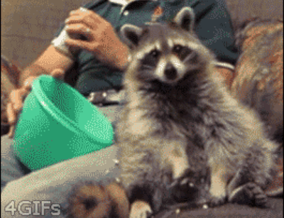 f94f74757ea1604d99284439754b448f.gif