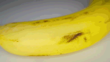 A banana aging over 8 days. To scale. - GIF - Imgur