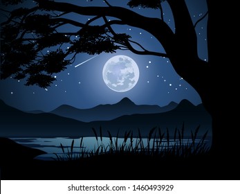 night-time-full-moon-view-260nw-1460493929.jpg