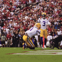 College Football GIF by LSU Tigers