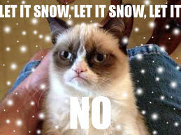 grumpy_cat_by_suzukeii-d5pch4g.jpg