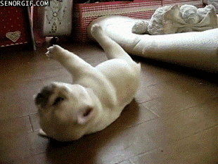 qqXt0XG.gif