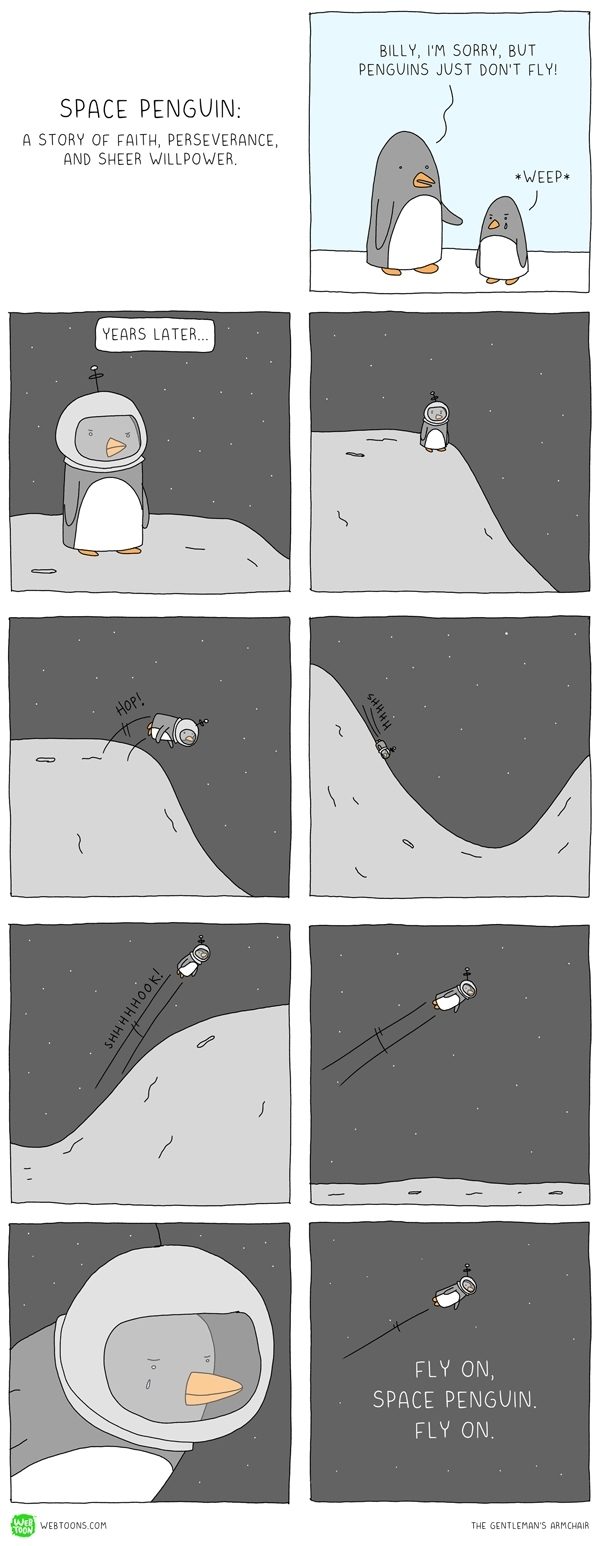 space-penguin-209116.jpg