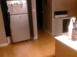 200.gif