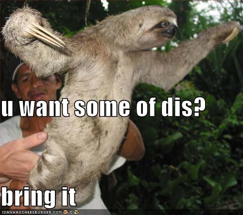 bring-it-sloth.jpg