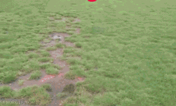 BfpSnZ_p2kKEqZcwljVF1Q2.gif