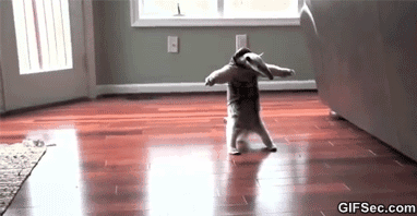 Come-at-me-bro-GIFS.gif