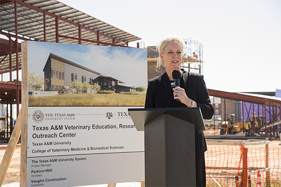 vetmed.tamu.edu