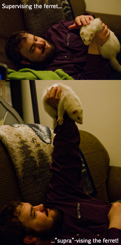 cObca.png