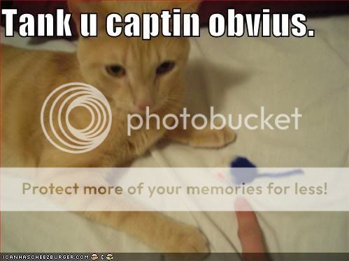 funny-pictures-captain-obvious-cat.jpg