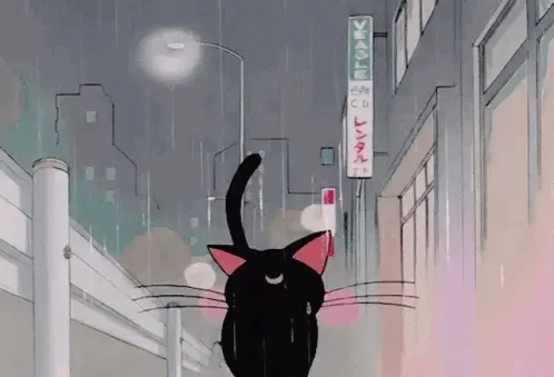 Aoazq.gif