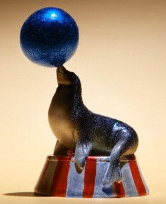 seal_balancing_ball.jpg