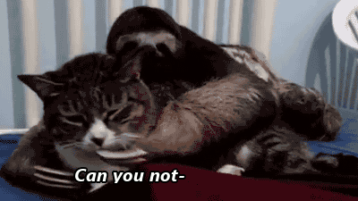 NZLibZc.gif