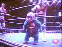 eaf8e9639385d0b1ccc8da1cd952297c_medium.gif