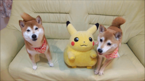 Dont quality GIF - Find on GIFER
