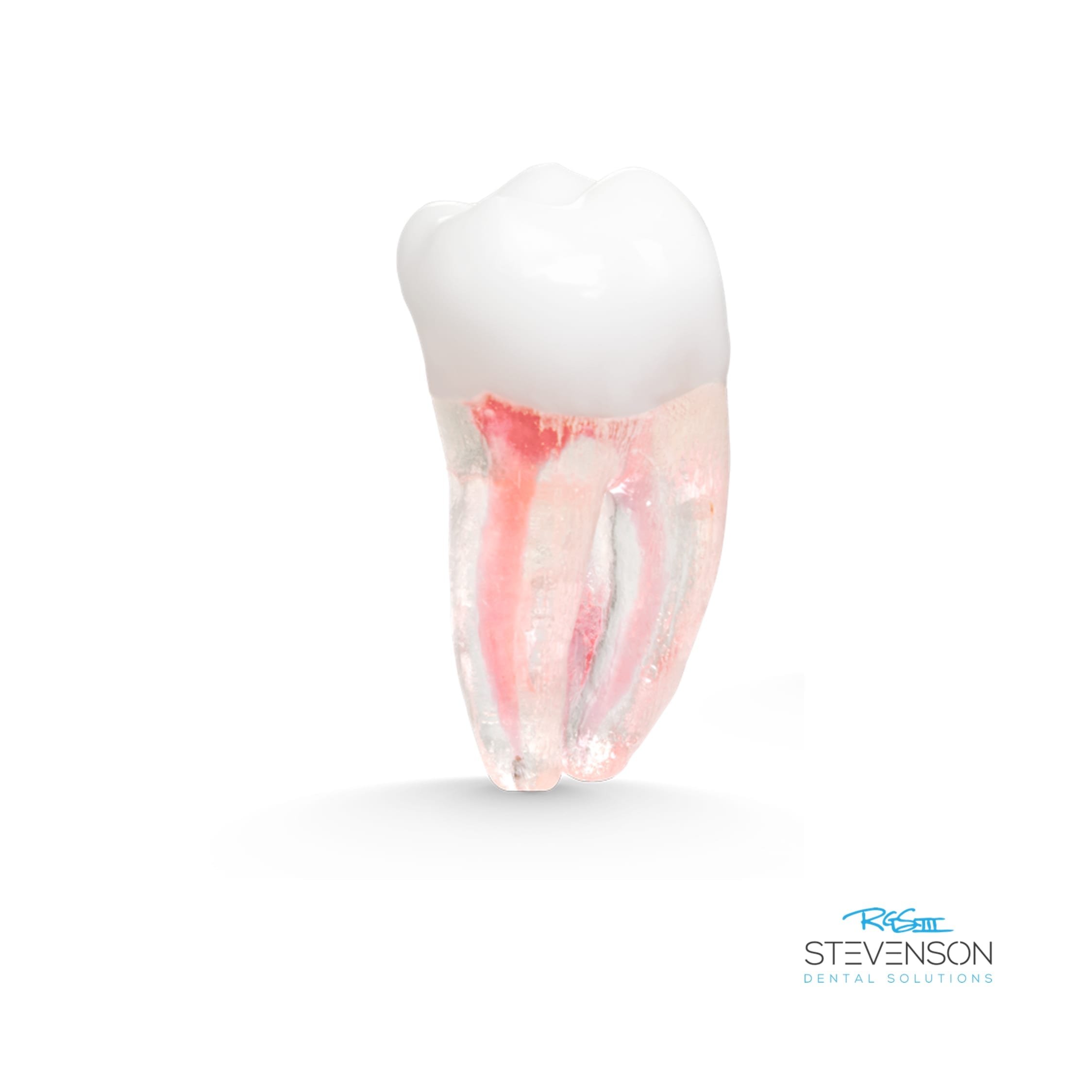 stevensondentalsolutions.com