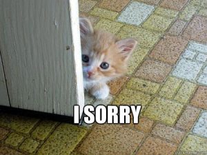 I-sorry-300x225.jpg