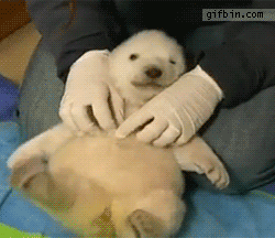 oU8kd.gif