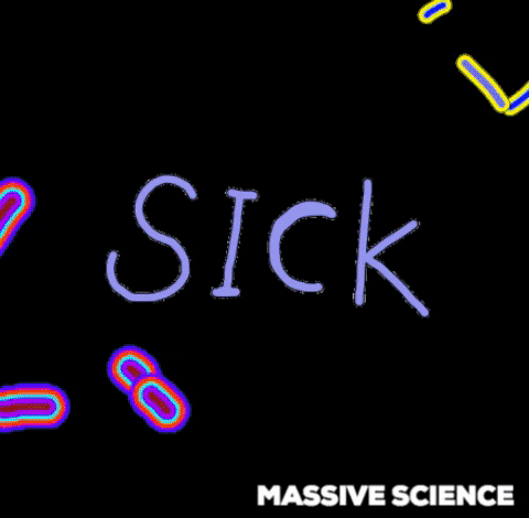 giphy.gif