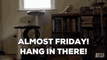 cat-jump.gif