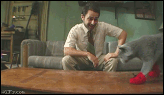 cOCEQ.gif