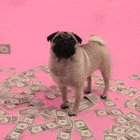 200w.gif