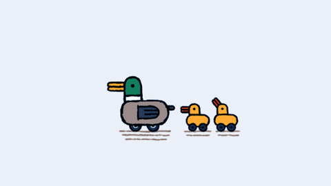 giphy.gif
