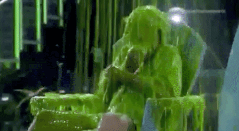 giphy.gif
