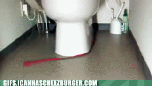 -qItoWDr2UukiwzOkZKVGw2.gif